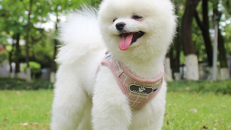 工业冷却塔厂家代理加盟：揭秘背后的加盟支持与选择要点